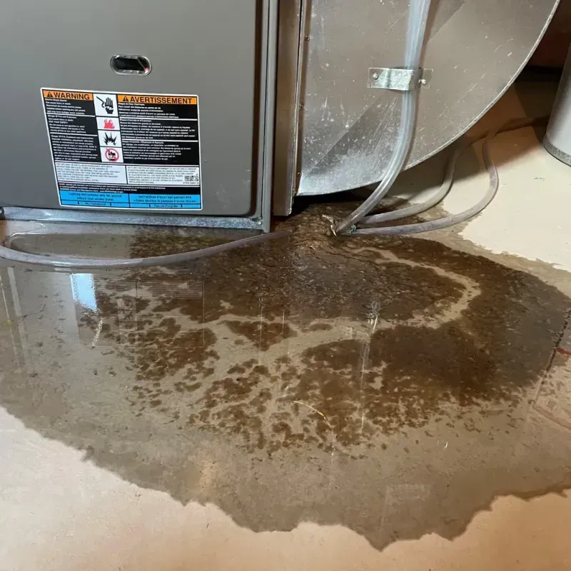 Appliance Leak Cleanup in Frankfort, KY